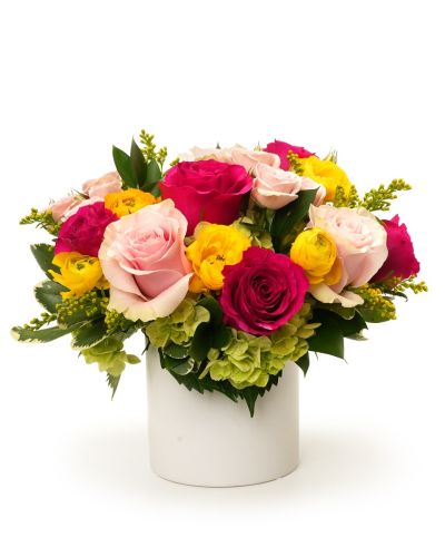 Sunshine and Roses