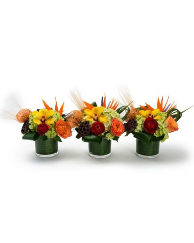 Trio of Thanks
